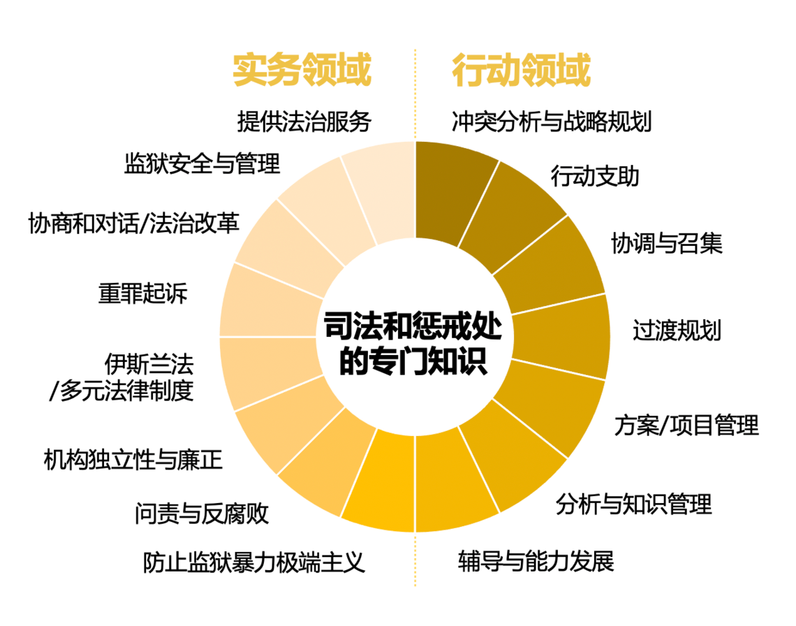 司法和惩戒处的专门知识